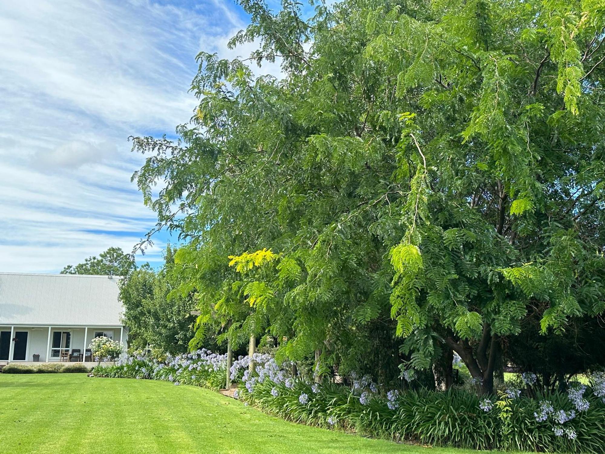 グリフィス Jen'S Garden Pods Bed & Breakfast エクステリア 写真