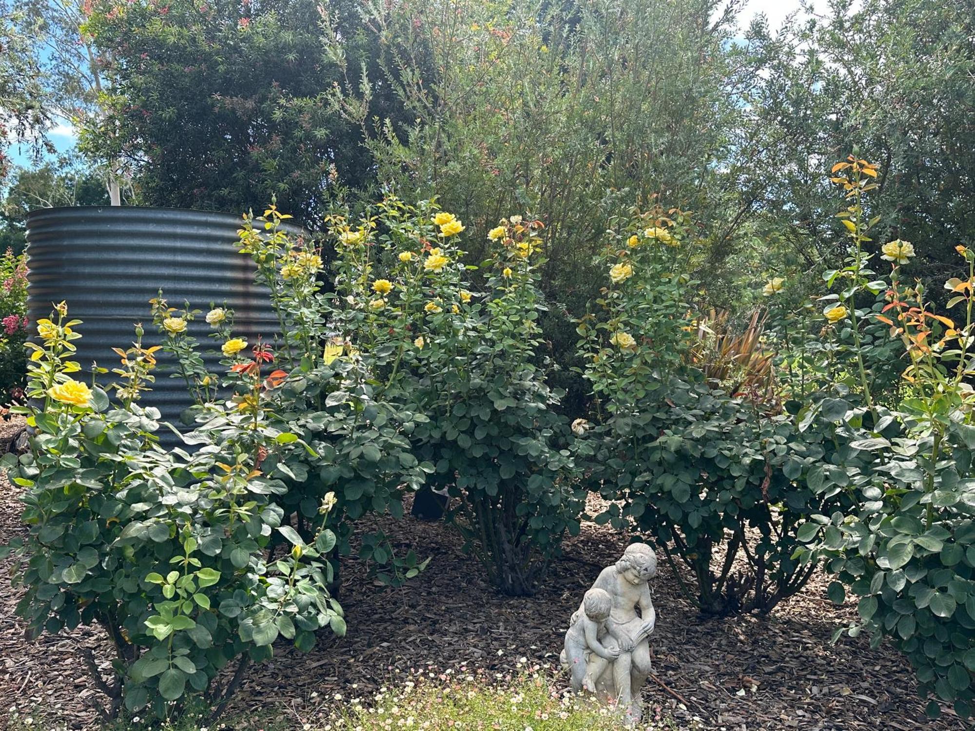 グリフィス Jen'S Garden Pods Bed & Breakfast エクステリア 写真